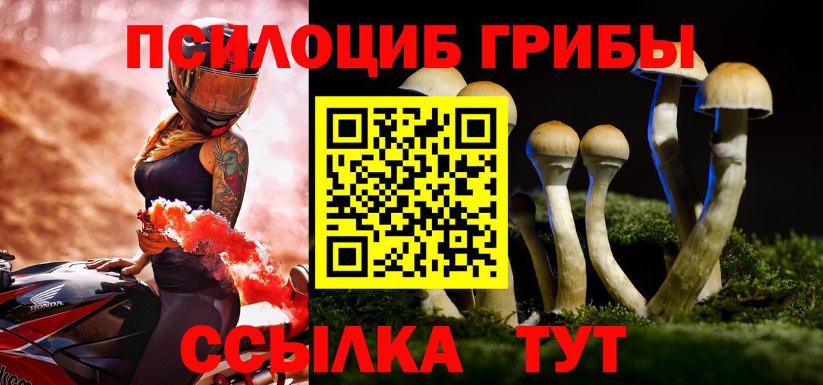 Псилоцибиновые грибы Cubensis  Вход с VPN  Галлюциногенные грибы Cubensis  Луховицы 
